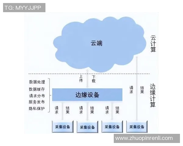 重庆羽毛球队的转型之路深度解析与未来展望